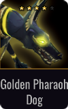 Gunner Golden Pharaoh Dog